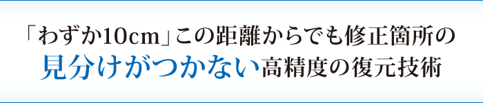 「わずか10cm」この距離からでも修正箇所の 「わずか10cm」この距離からでも修正箇所の